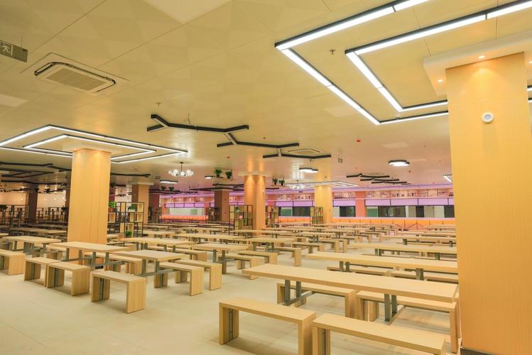 河南世纪教育科技集团 专业信息咨询，赋能教育未来